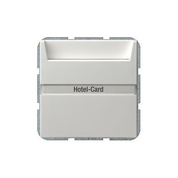 Hotel-card switch 10 AX 250 V~ with inscription space 2-way momentary contact, 1-pole